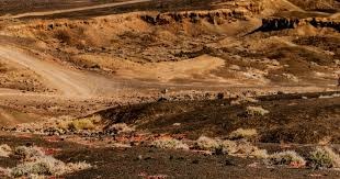 《野狗子》细节要点：非3A游戏 可操作的角色非常多！